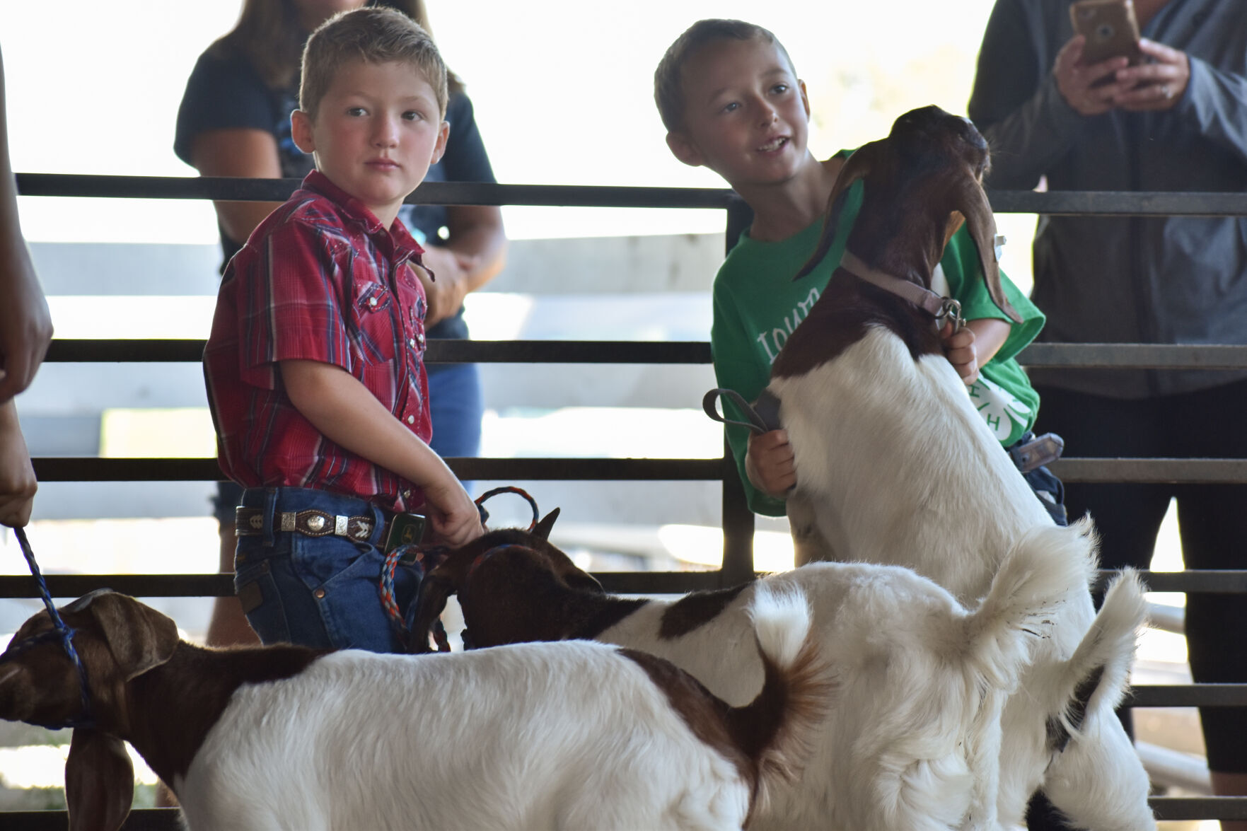 North Iowa Fair 1